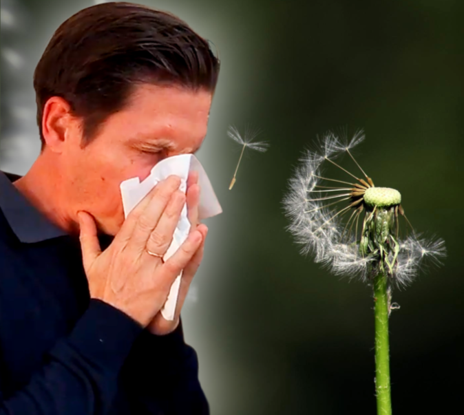 Allergies saisonnières : La rhinite allergique